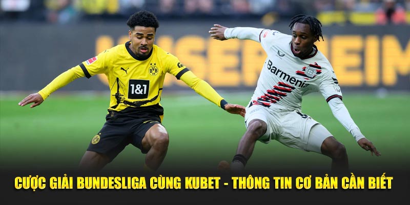 cuoc giai bundesliga