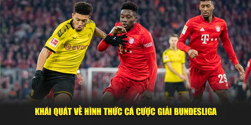 khai quat ve hinh thuc ca cuoc giai bundesliga