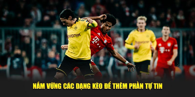 nam vung cac dang keo de them phan tu tin