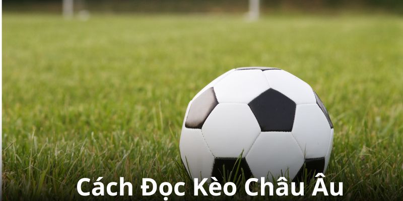 Cách đọc kèo châu Âu chuẩn chỉnh