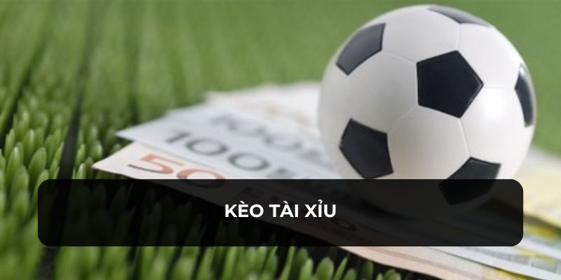 Kèo Tài Xỉu Và Những Thông Tin Quan Trọng Cho Người Mới